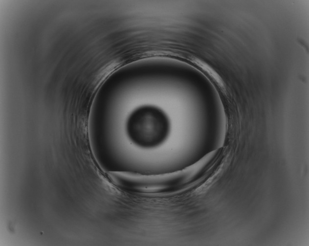 X0000093100809200709261229