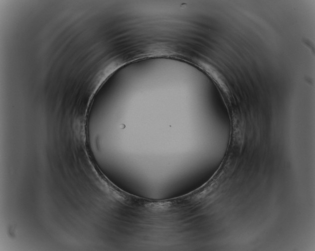 X0000093100810200709261229