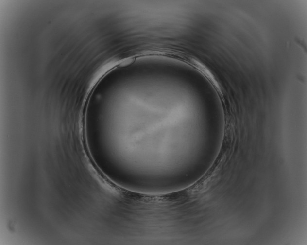 X0000093100811200709261229
