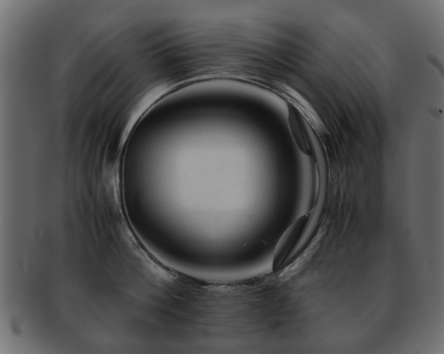 X0000093100812200709261229