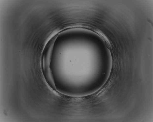 X0000093100813200709261229