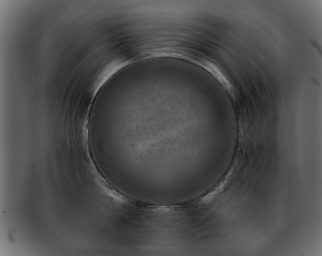 X0000093100814200709261229