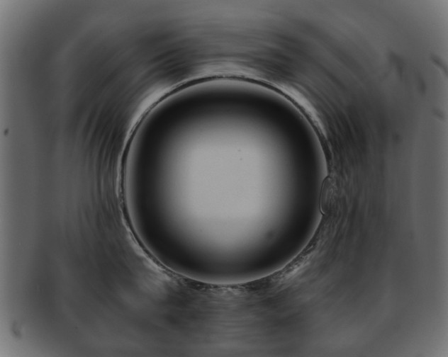 X0000093100815200709261229