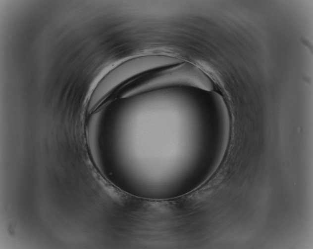 X0000093100816200709261229
