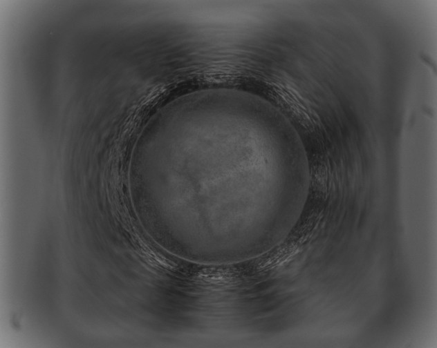 X0000093100817200709261228