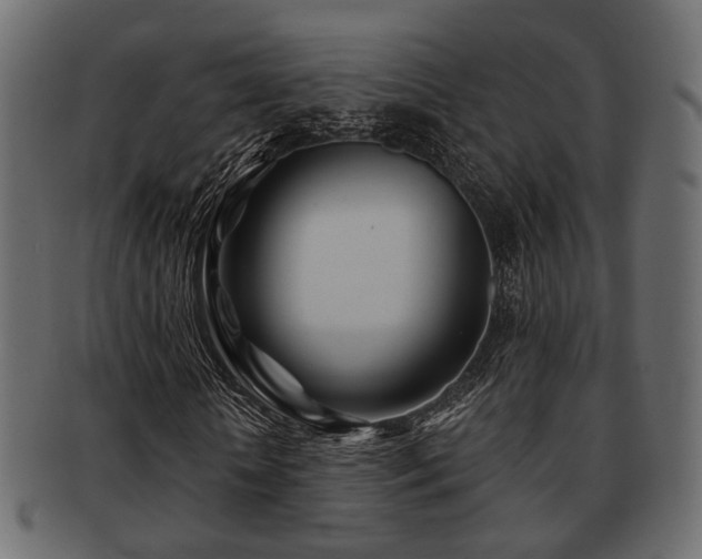 X0000093100818200709261228