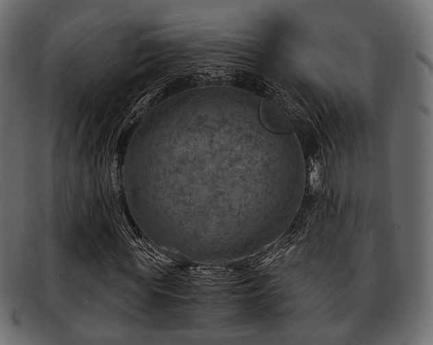 X0000093100819200709261228