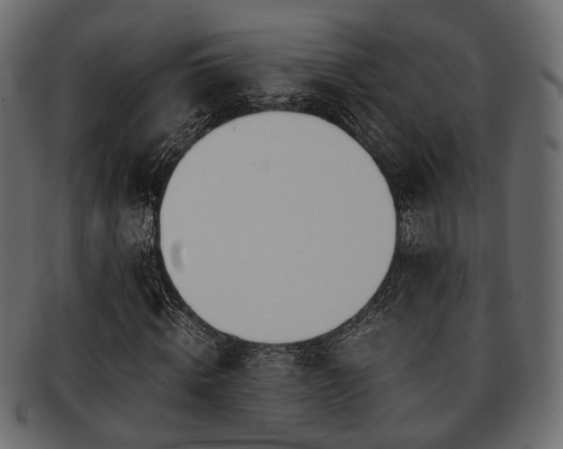 X0000093100820200709261228