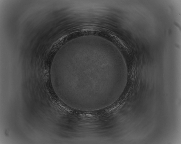 X0000093100821200709261228