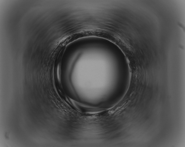 X0000093100822200709261228