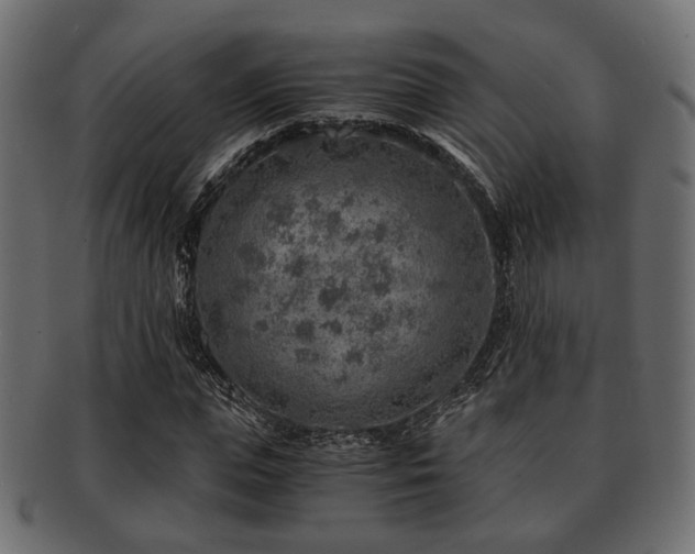 X0000093100823200709261228