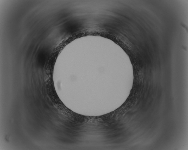 X0000093100824200709261228