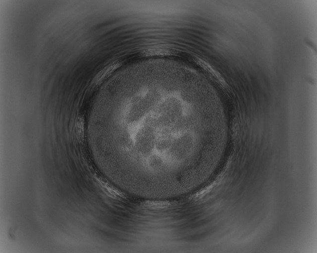 X0000093100825200709261228