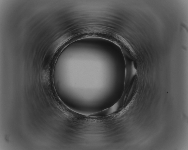 X0000093100826200709261228