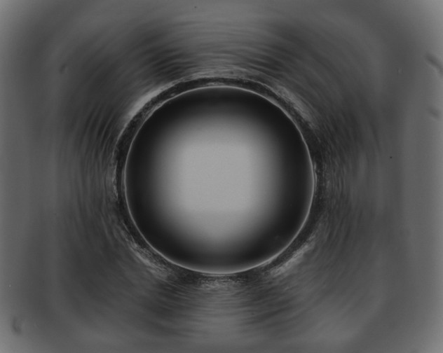 X0000093100830200709261228