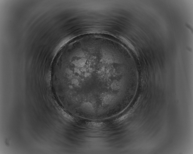 X0000093100831200709261228