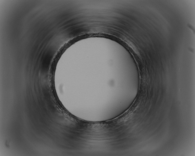 X0000093100832200709261229