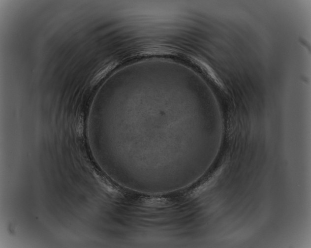 X0000093100833200709261229