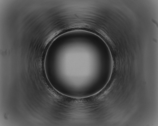 X0000093100834200709261229