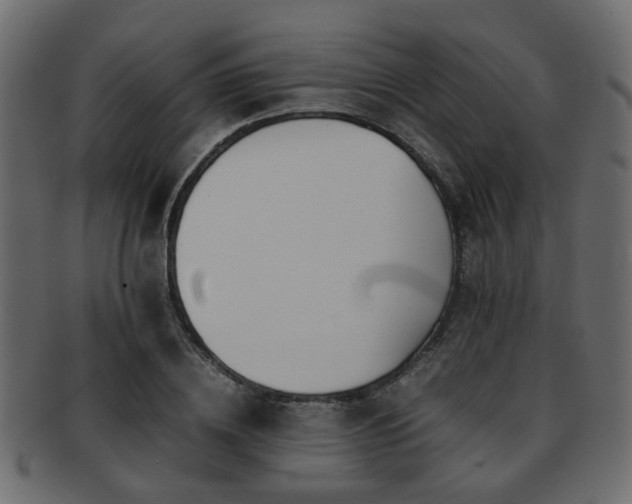 X0000093100836200709261229