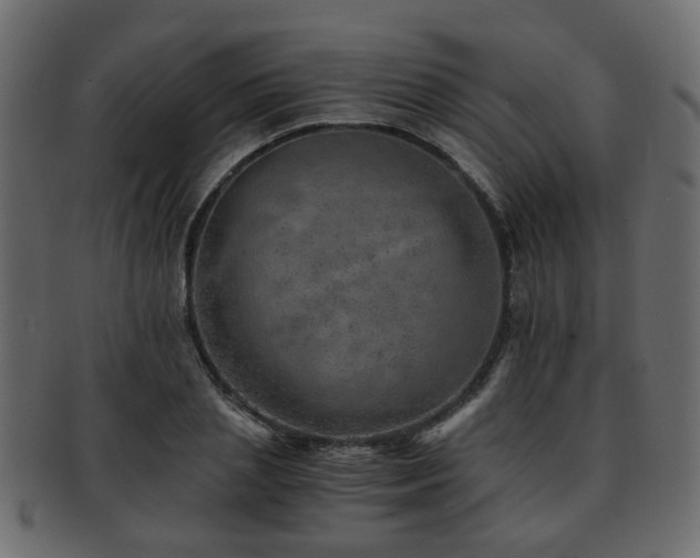 X0000093100837200709261229