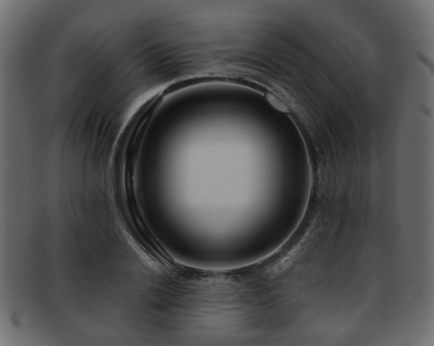X0000093100838200709261229