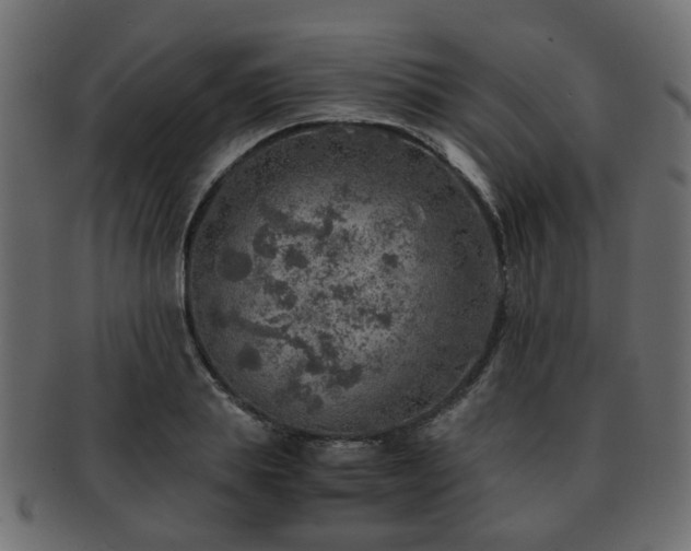 X0000093100839200709261229