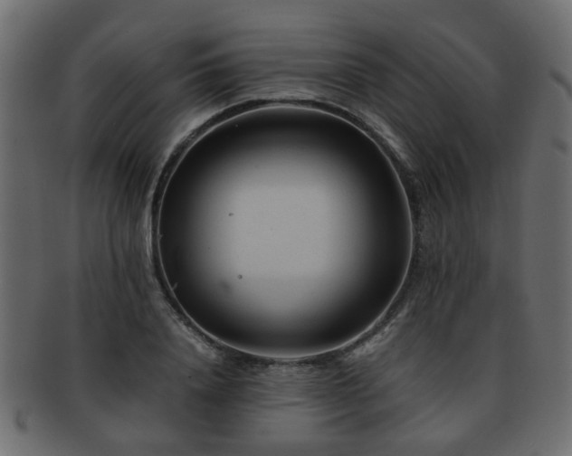 X0000093100840200709261229