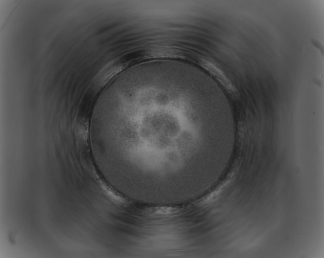 X0000093100841200709261229