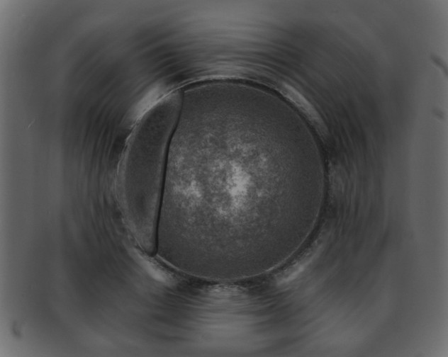 X0000093100842200709261229