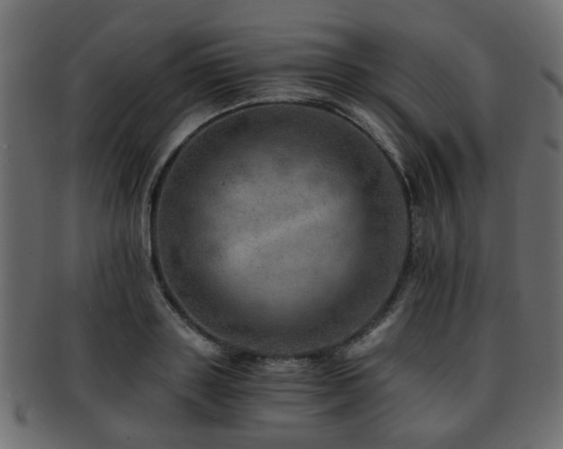 X0000093100843200709261229