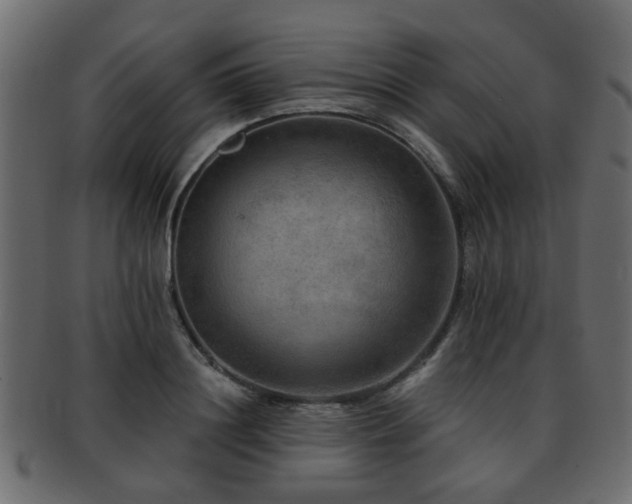 X0000093100844200709261229