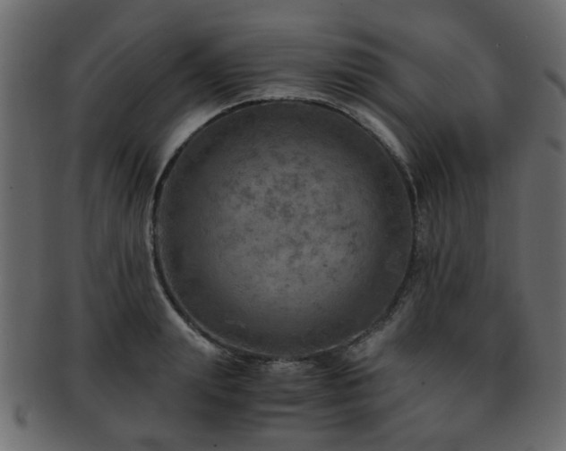 X0000093100847200709261229