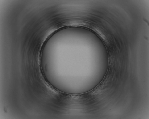 X0000093100848200709261229