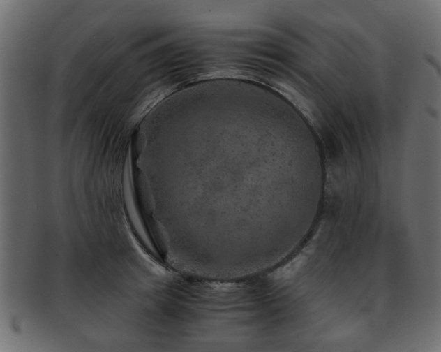 X0000093100849200709261229