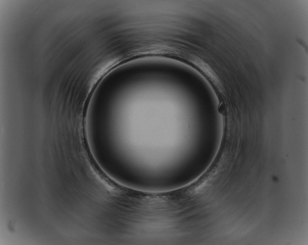 X0000093100850200709261229