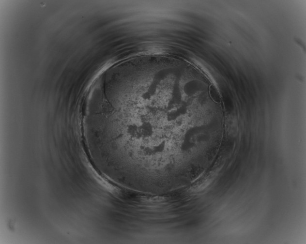 X0000093100851200709261229