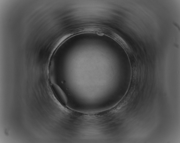 X0000093100852200709261229