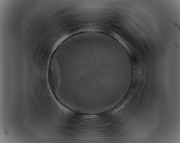 X0000093100853200709261229