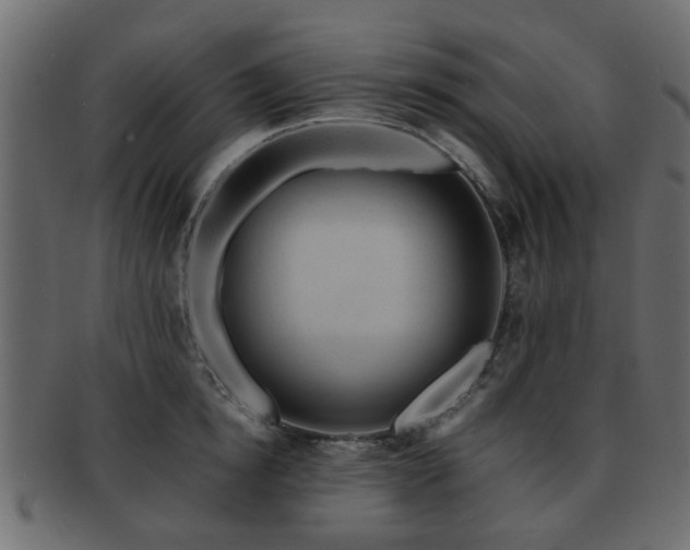 X0000093100854200709261229