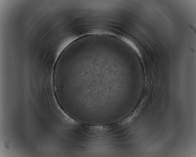 X0000093100855200709261229