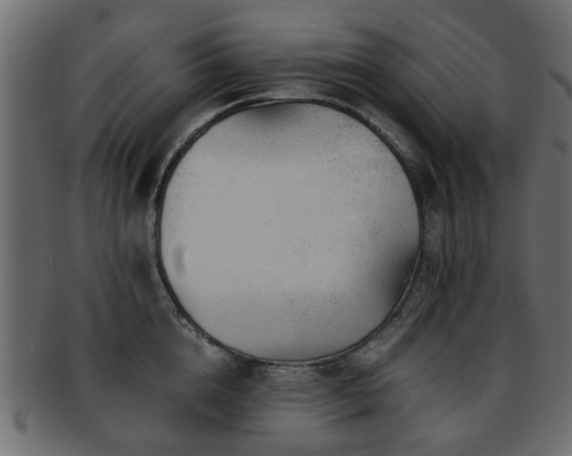 X0000093100856200709261229