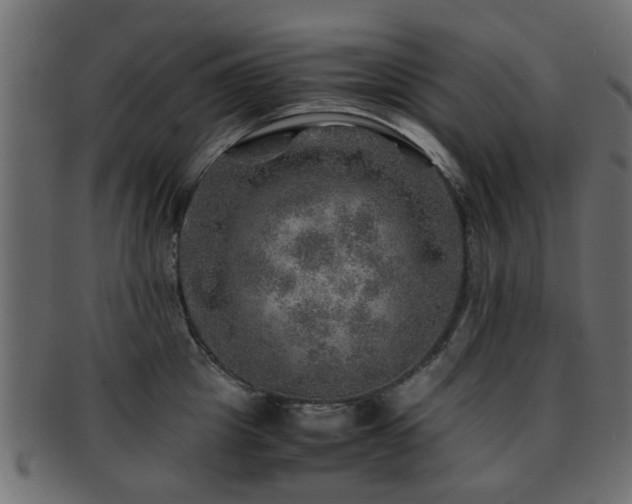 X0000093100857200709261229