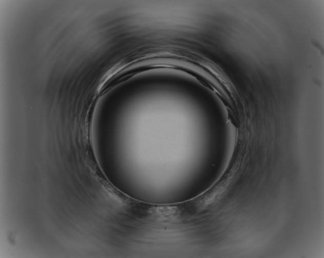 X0000093100858200709261229