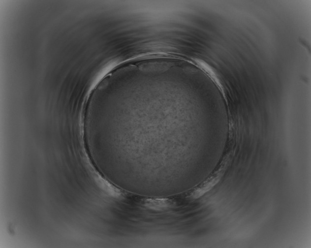 X0000093100859200709261229