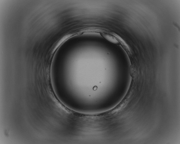 X0000093100860200709261229