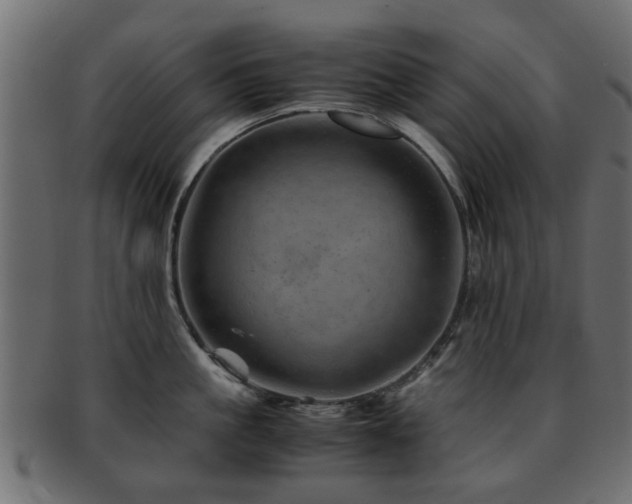 X0000093100861200709261229