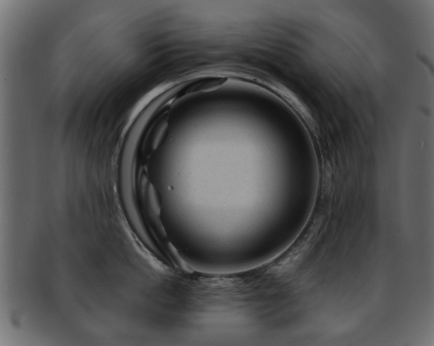 X0000093100862200709261229