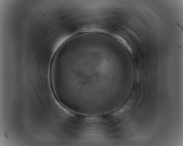 X0000093100863200709261229