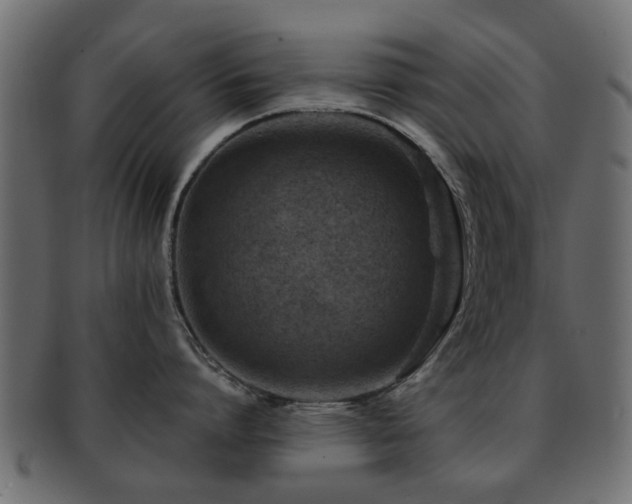 X0000093100864200709261229